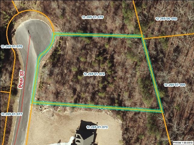 Property Photo: Lot 74 Pear Street GA 30740