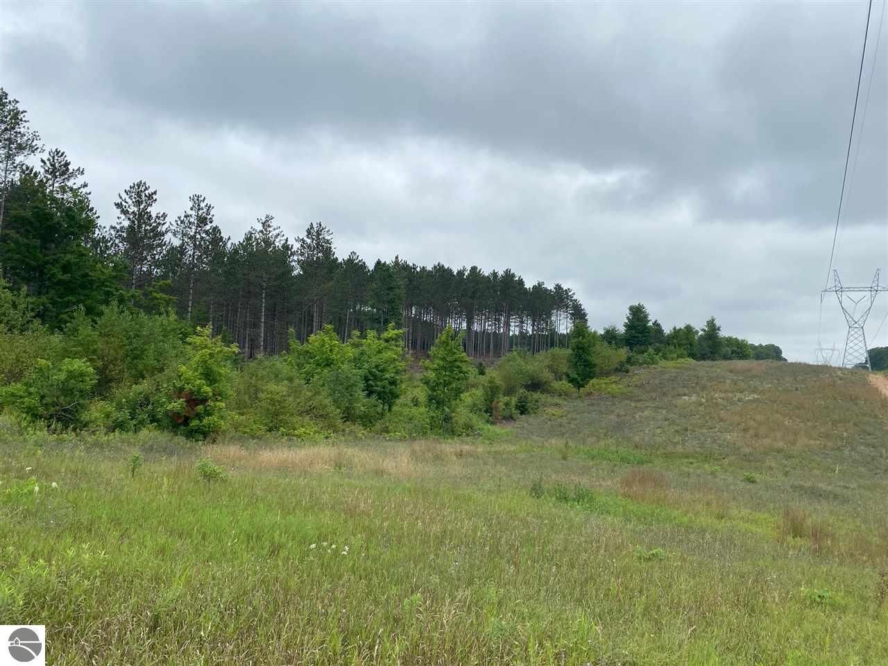 Property Photo: W County Line Road MI 49684