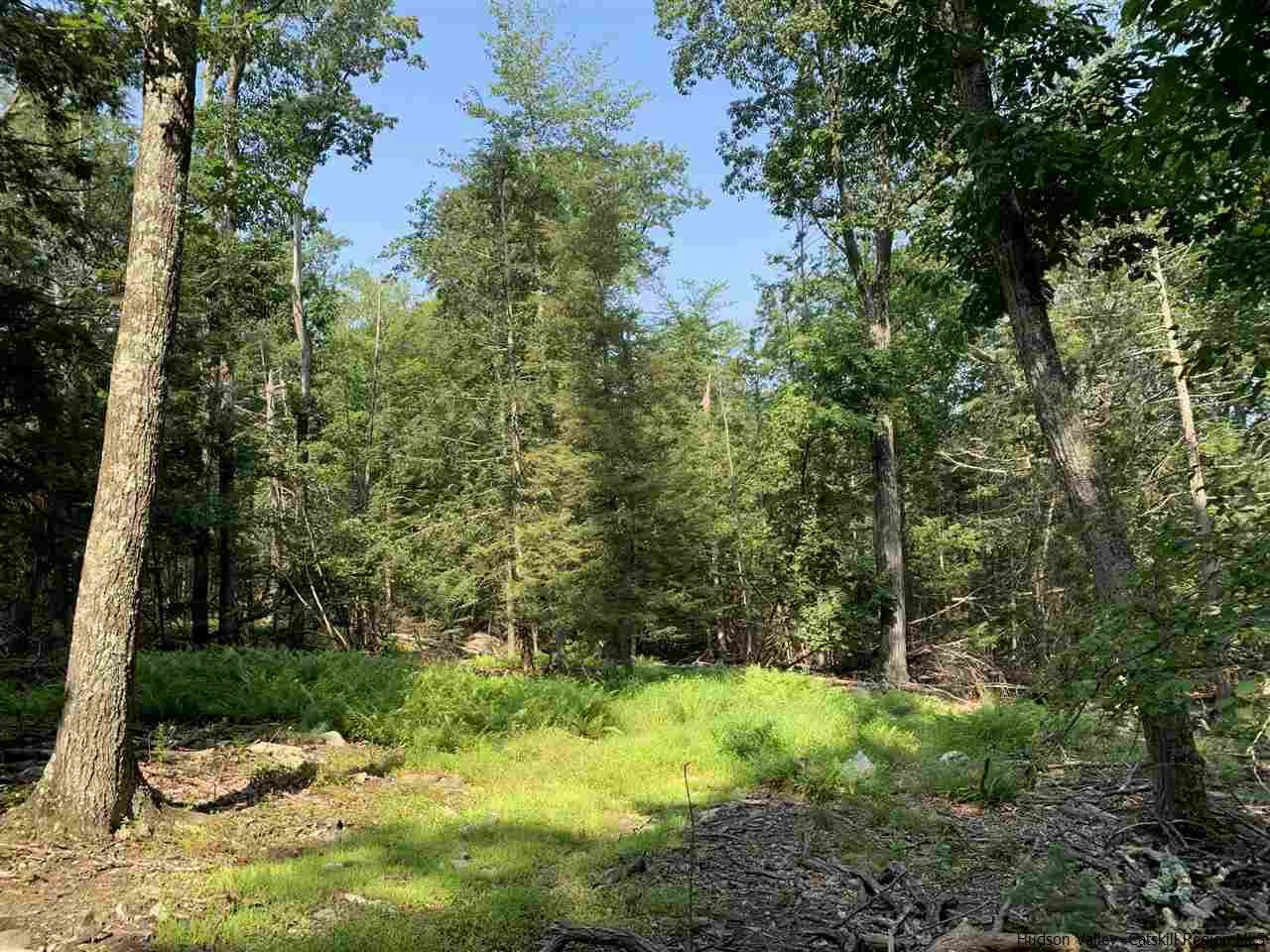 Property Photo:  Lot 1 Tbd Cherry  NY 12484 