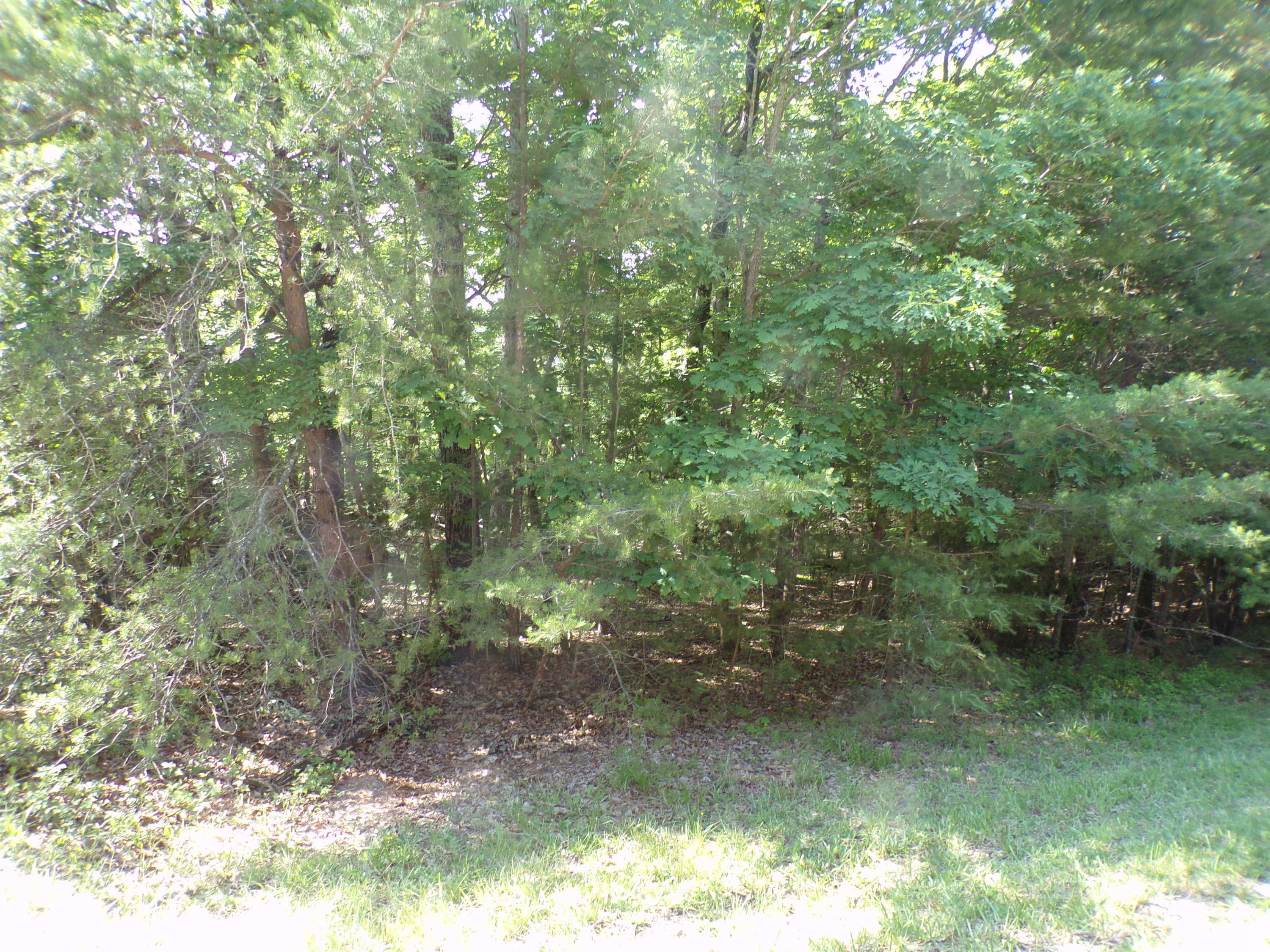 113 Waldren Ridge Court  Fairfield Glade TN 38558 photo