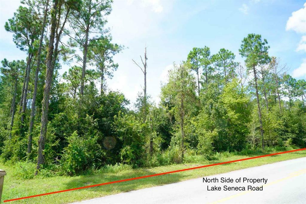 Property Photo:  Lake Seneca Road  FL 32736 