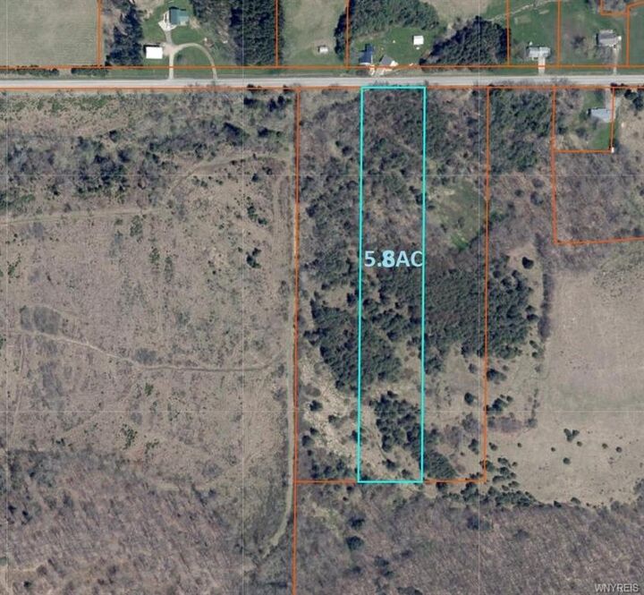 0 Beech Hill Road  Wellsville NY 14895 photo