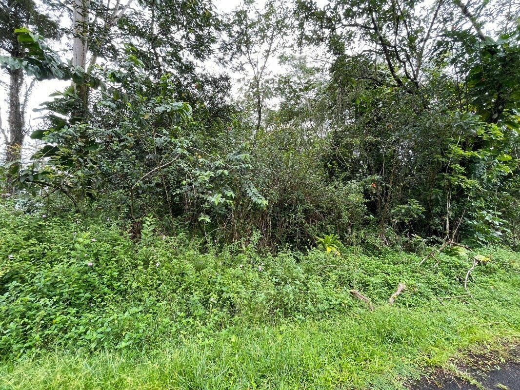 Property Photo:  N Moi St  HI 96778 