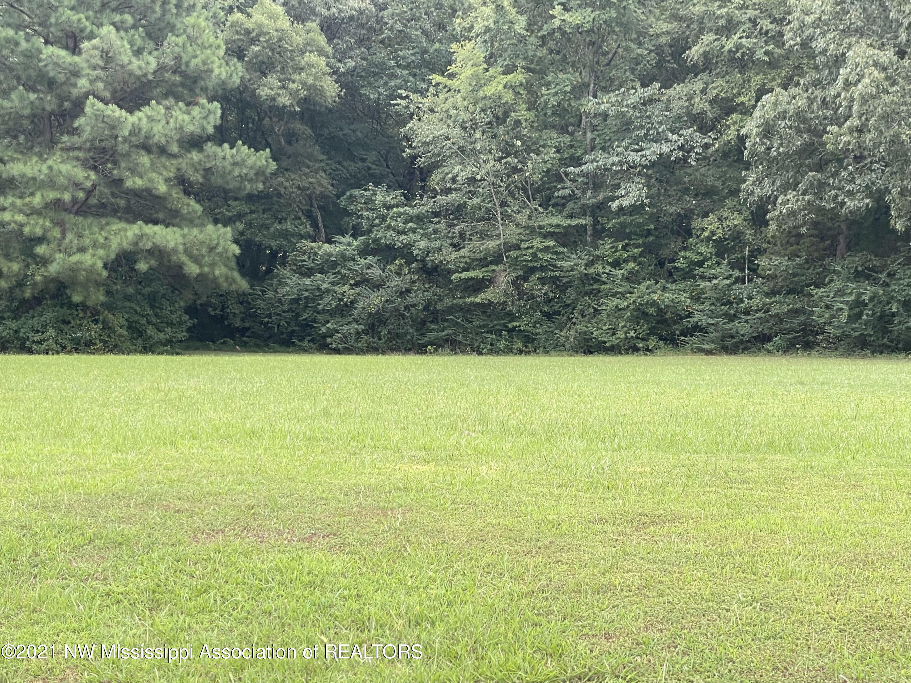 Property Photo: 00 Curbo Lane MS 38654