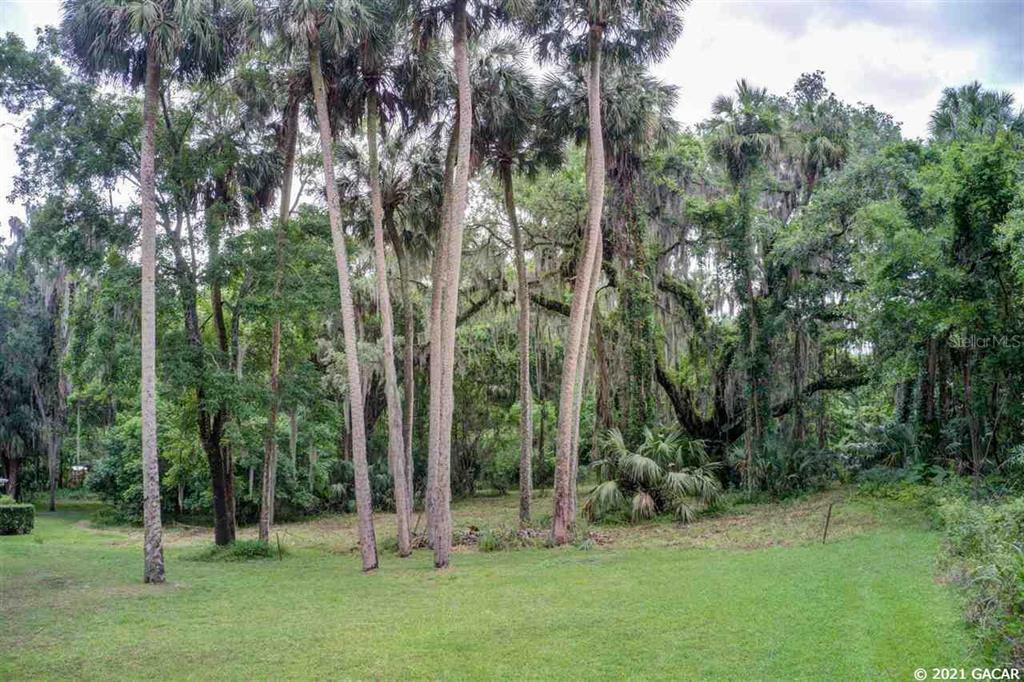 Property Photo:  000 D Avenue  FL 32664 