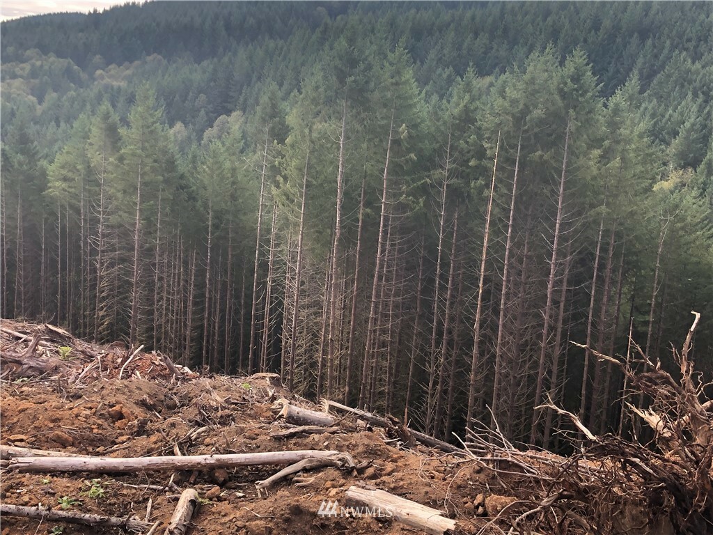 Property Photo: 0 Mull Road WA 98611
