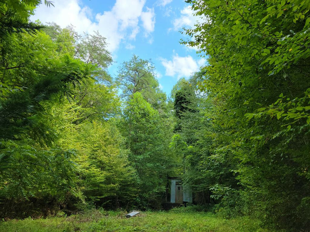 Property Photo:  00 Willie Shell Road  TN 37369 