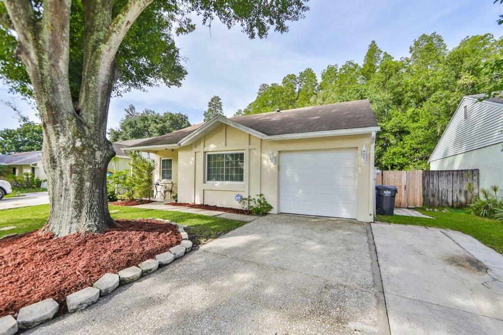 Property Photo:  12416 Pepperfield Drive  FL 33624 