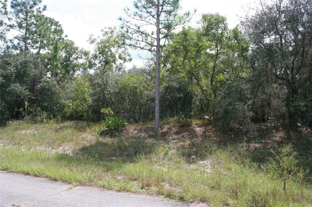 Property Photo:  Rainbow Court  FL 34759 