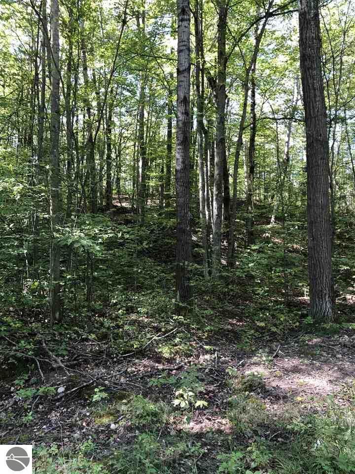 Property Photo:  V/L Parcel 49 Falmouth Road  MI 49601 
