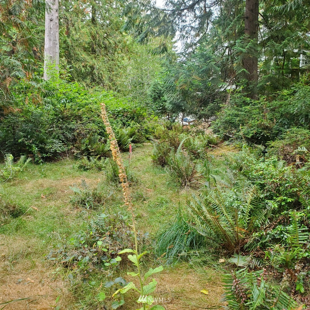 Property Photo:  655 E Portage Road  WA 98584 