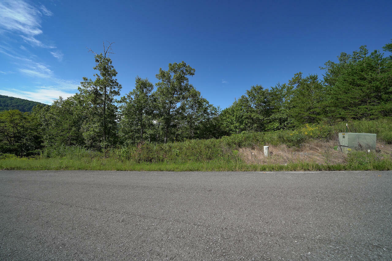 Property Photo:  Lot 13 Mountain Ash Way  TN 37876 