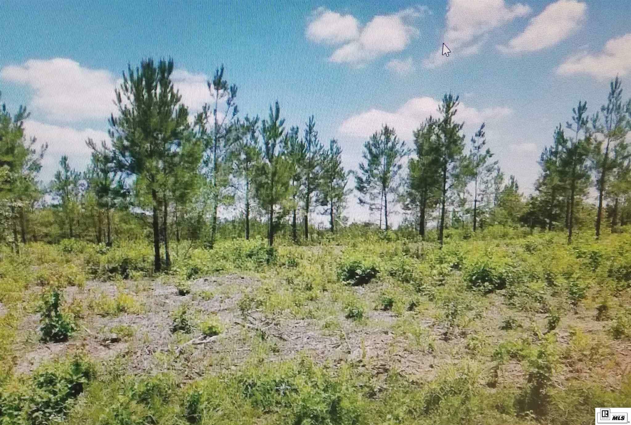 Property Photo:  Tract 1 Highway 139  LA 71203 