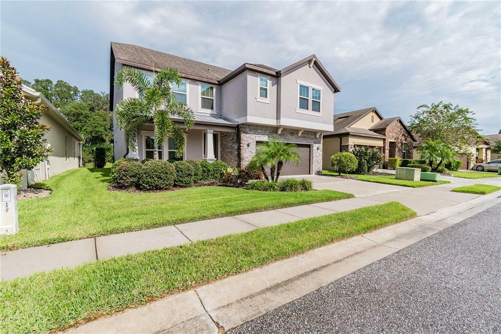 Property Photo:  4933 Rolling Green Drive  FL 33543 