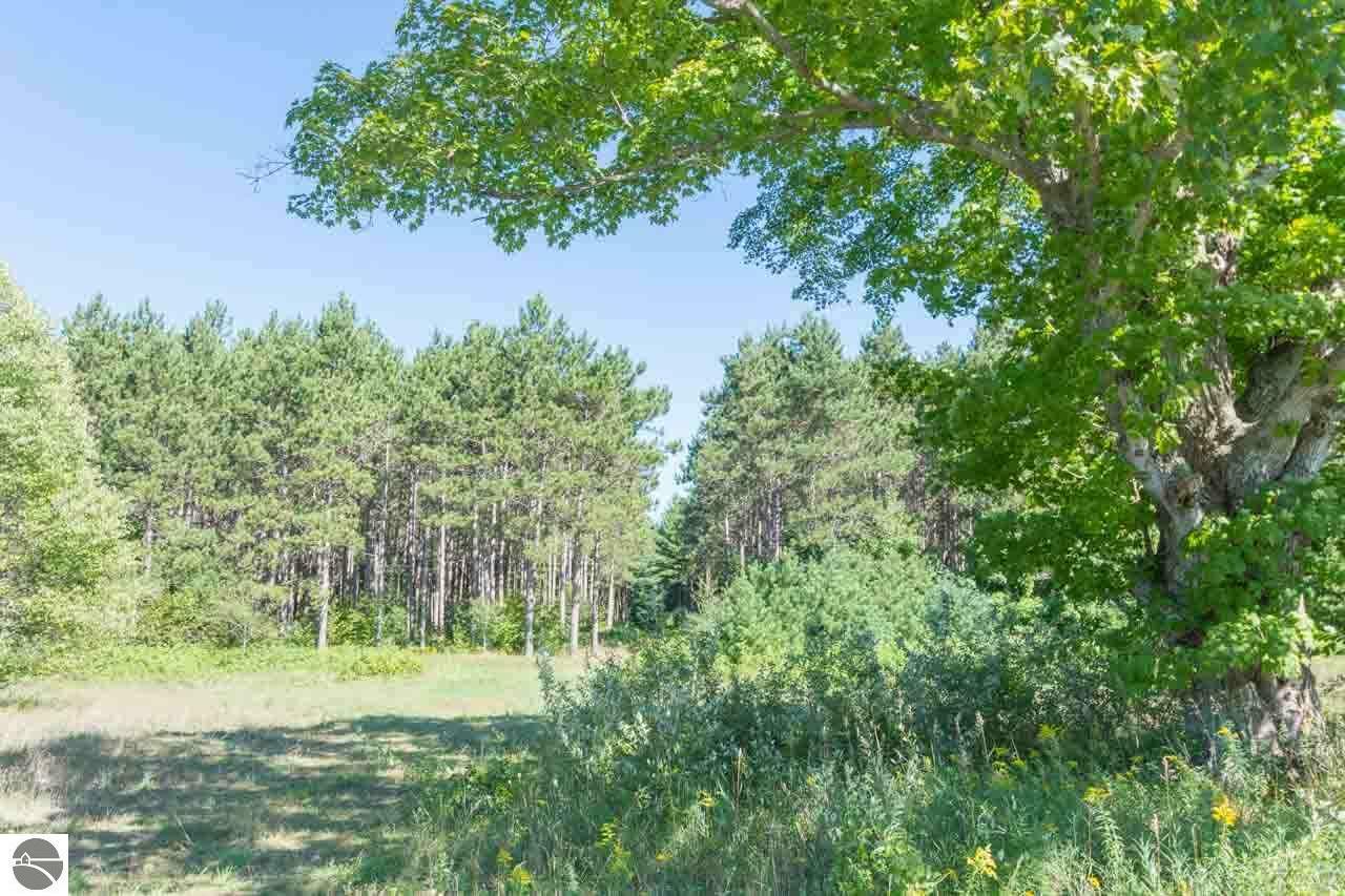 Property Photo:  Parcel 2 S Plowman Road  MI 49630 