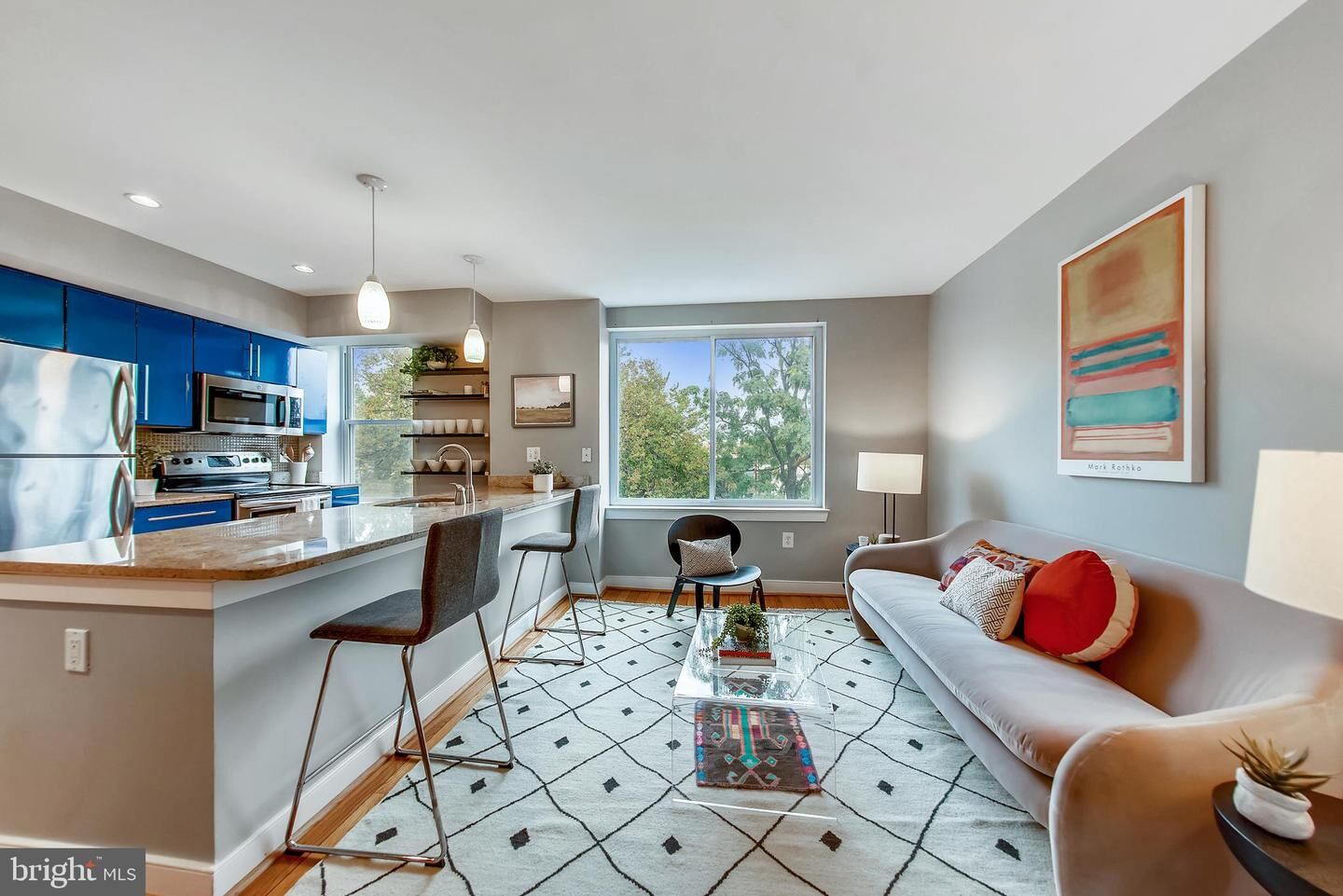 Property Photo:  420 16th Street SE 306  DC 20003 