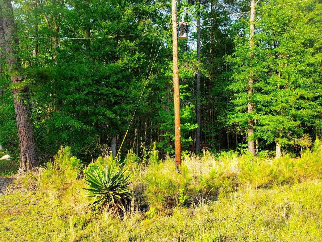 0 First Texas Road  Saint George SC 29477 photo