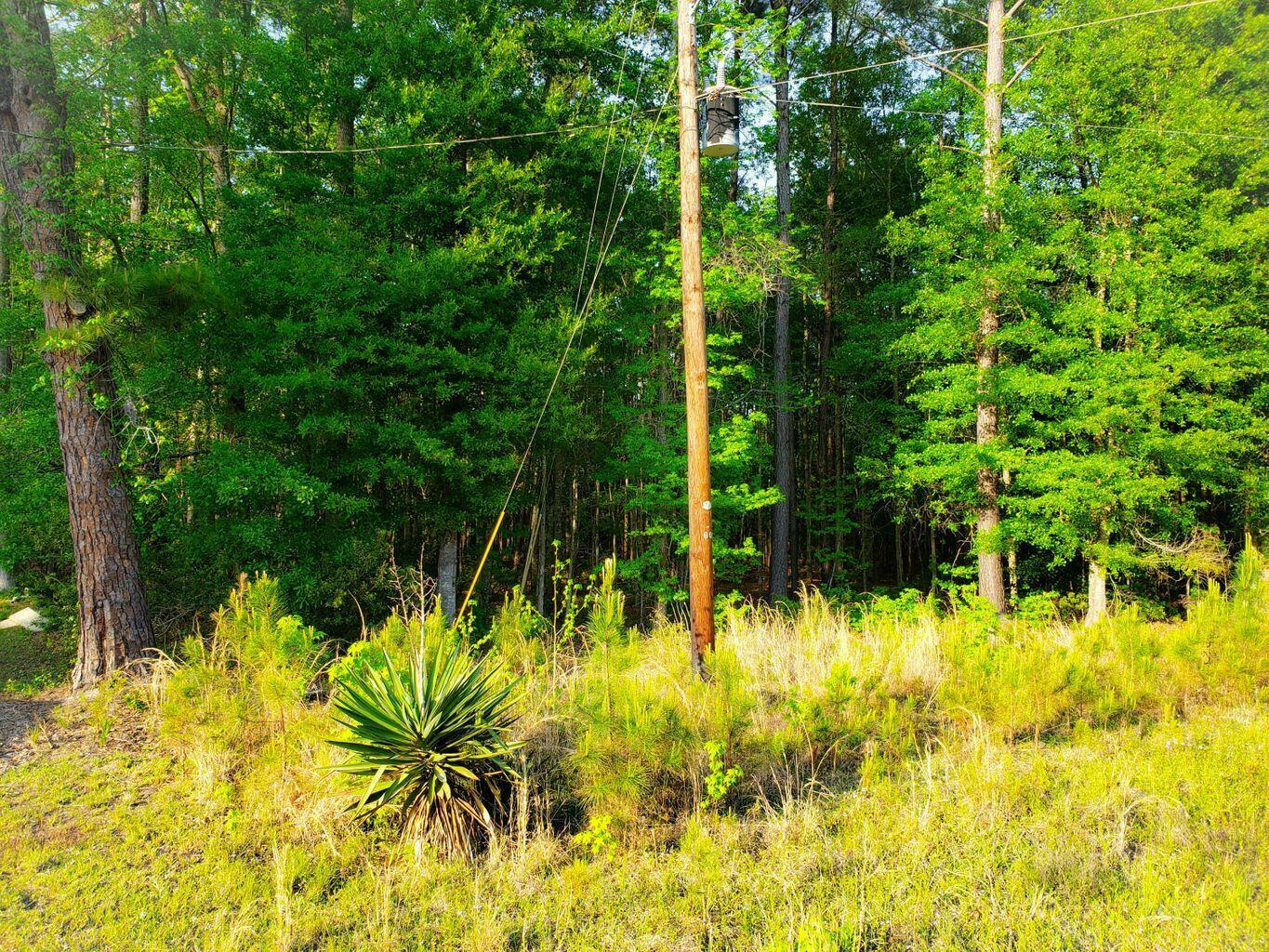 Property Photo:  0 First Texas Road  SC 29477 
