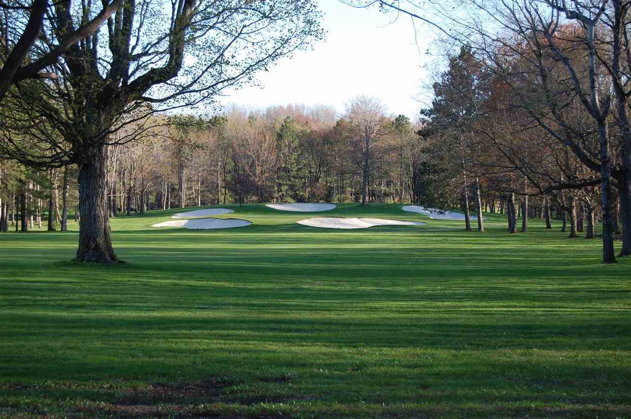 Property Photo: 710 Eastwind MI 49740