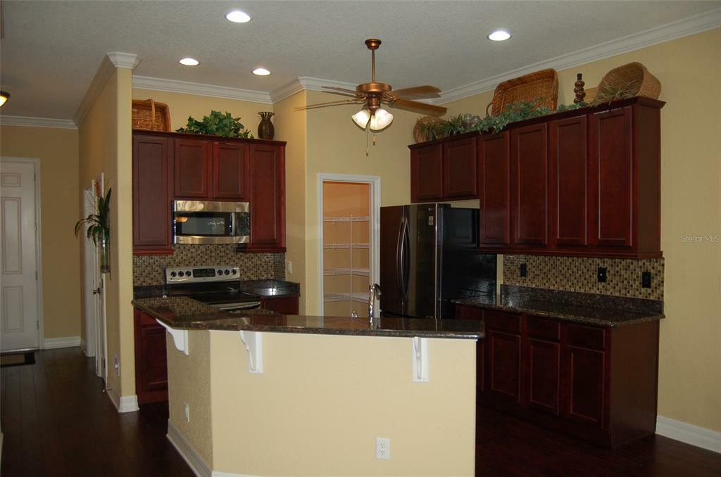 Property Photo:  1003 Green Gate Boulevard  FL 34736 