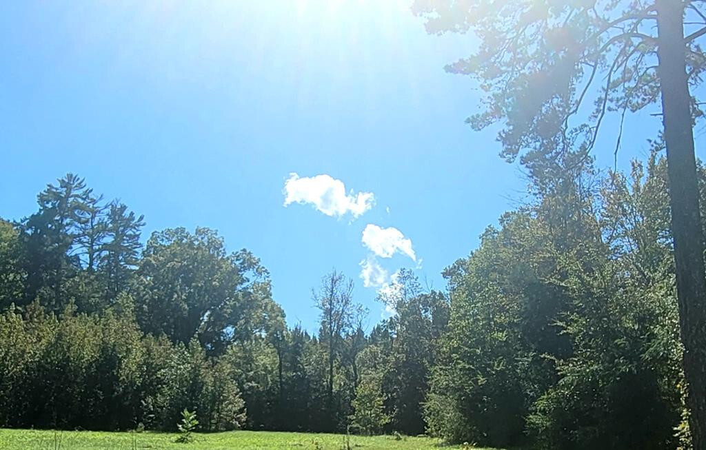 Property Photo: 00 Curnutt Lane TN 37880