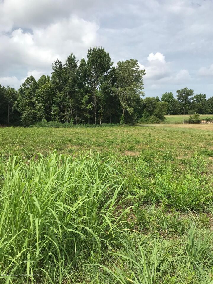 8465 Industrial Drive  Olive Branch MS 38654 photo