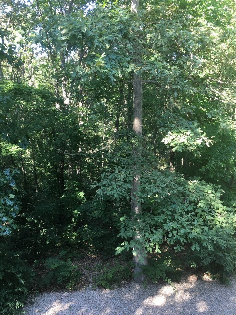 Property Photo:  Lot 24 Elvanfoot Lane  AR 72715 