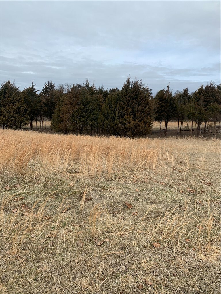 Property Photo: Tract 3 Doc Meyer Road MO 65745