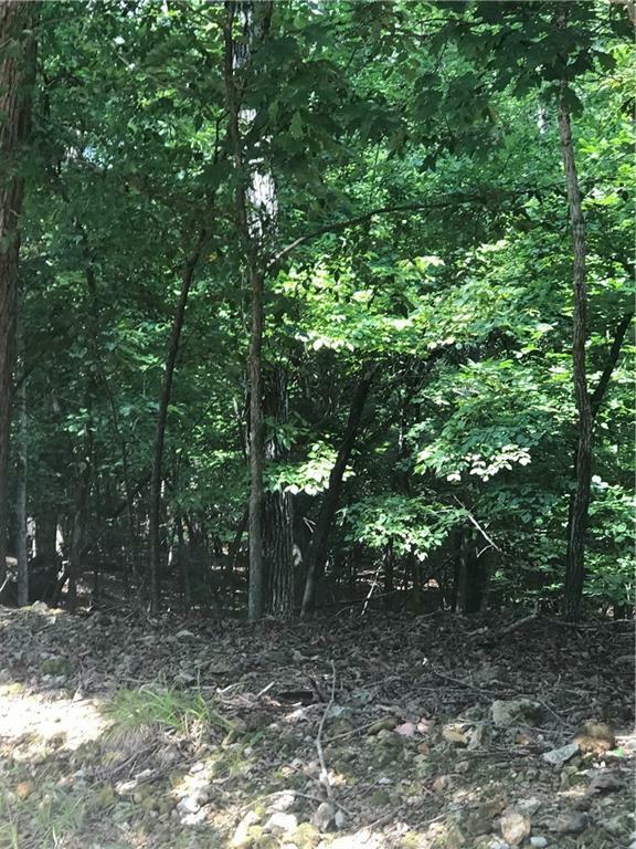 Property Photo:  Lot 11, 12, 13 Burton Lane  AR 72756 