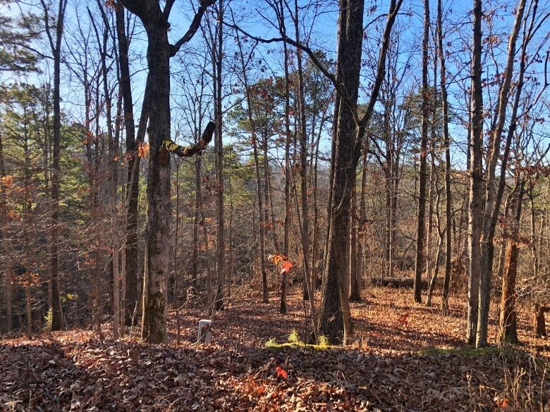 Property Photo: -- Brierfield Lane AR 72714
