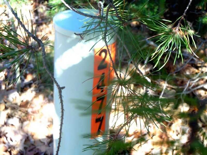 Property Photo: N Toy Drive AR 72704