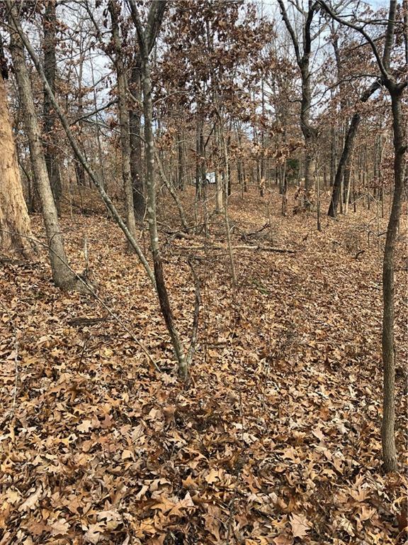 Property Photo: Alva Lane AR 72715