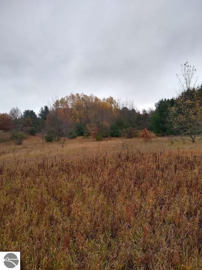 Property Photo: 00 Raymond Road MI 49656