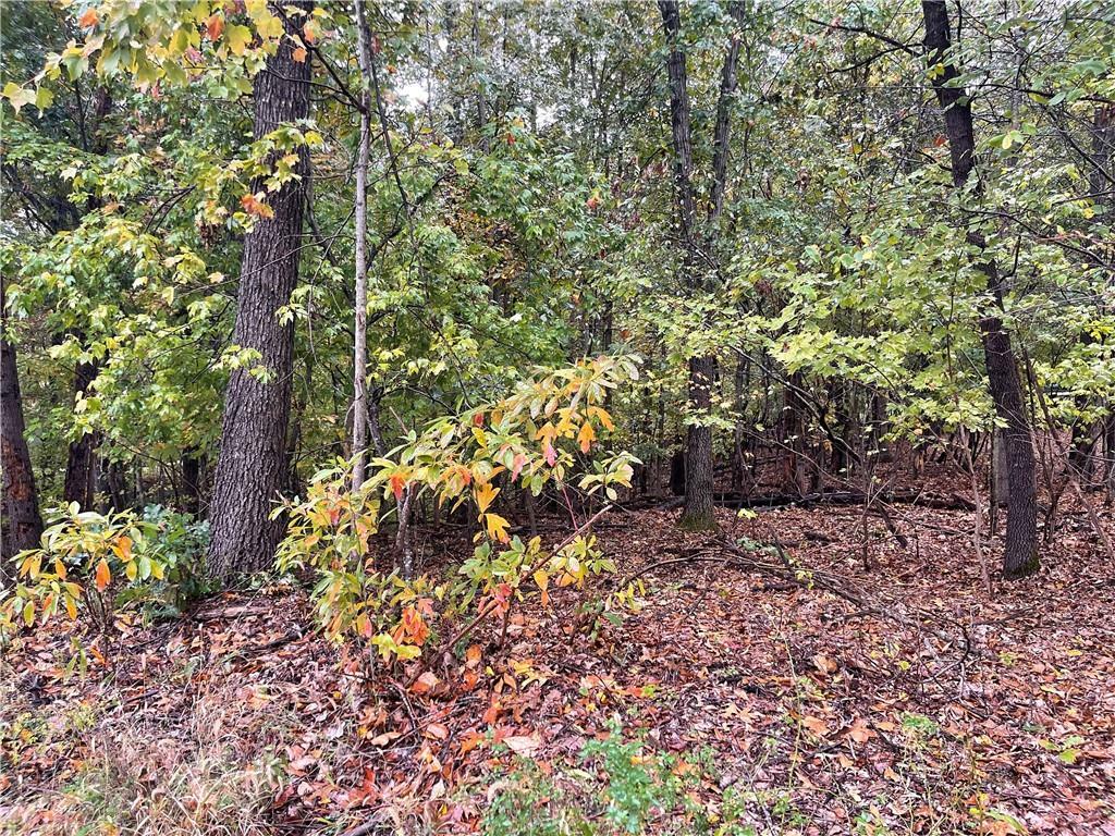 Property Photo:  Lot 5 Block 1 Pawle  AR 72714 