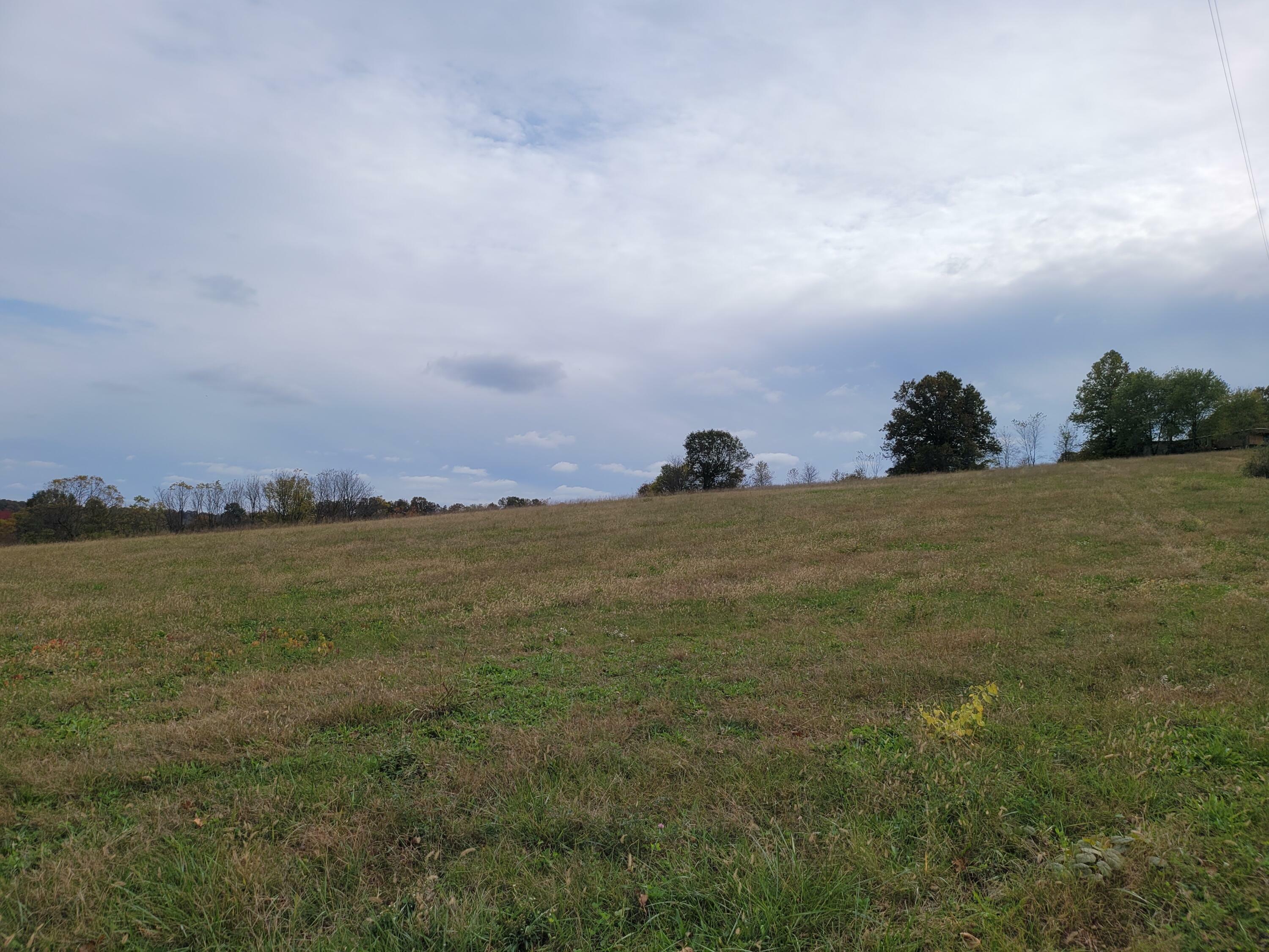 Property Photo:  000 Shiloh Church Road  MO 65705 