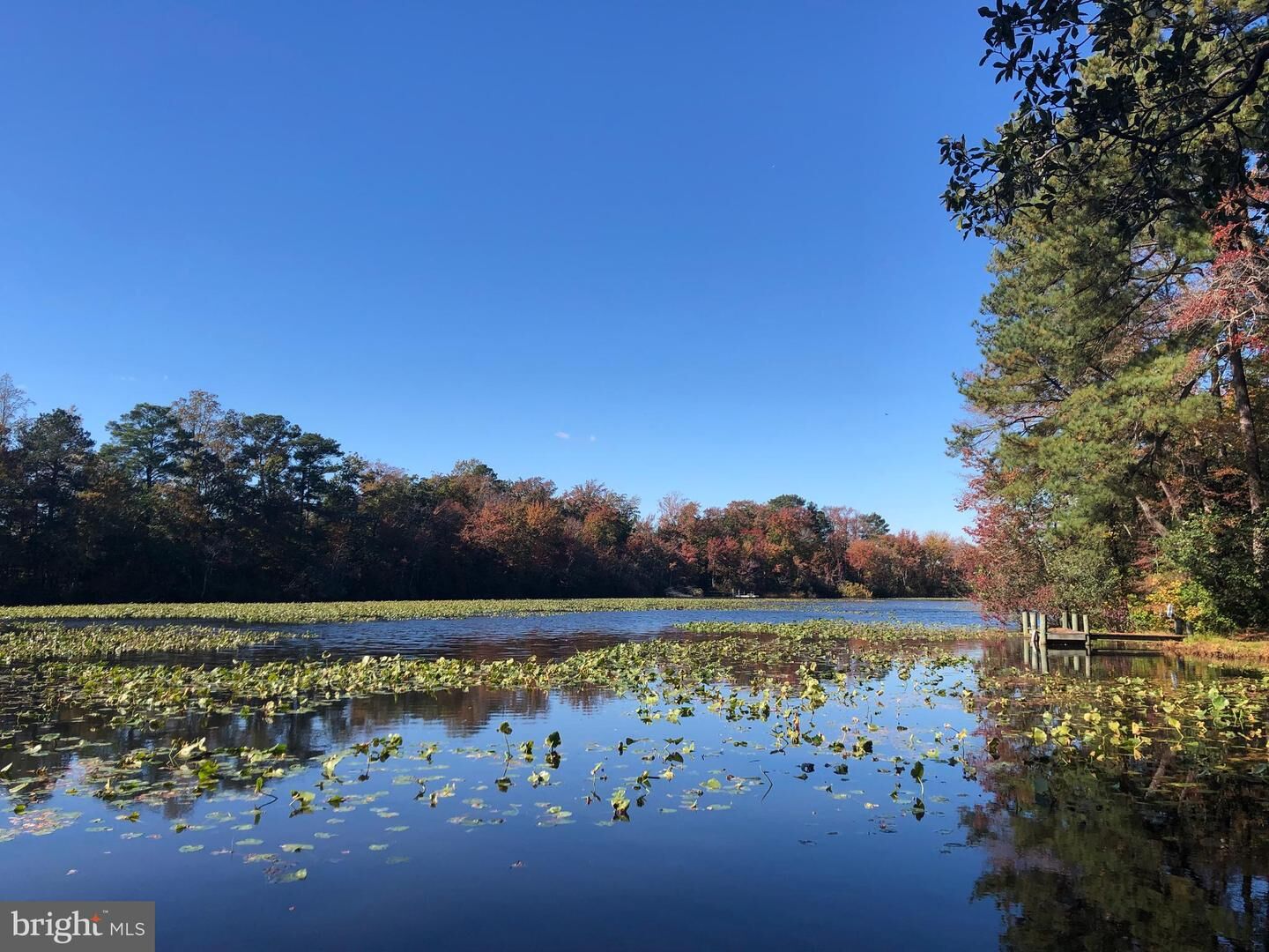 Property Photo:  Lot 29 Bayard Lane  DE 19958 
