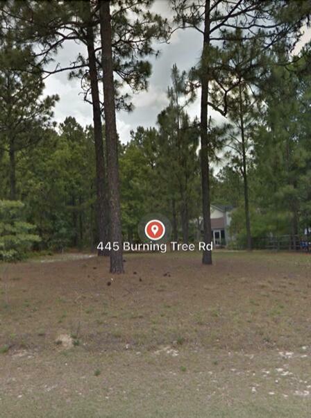 Property Photo:  445 Burning Tree Road  NC 28374 