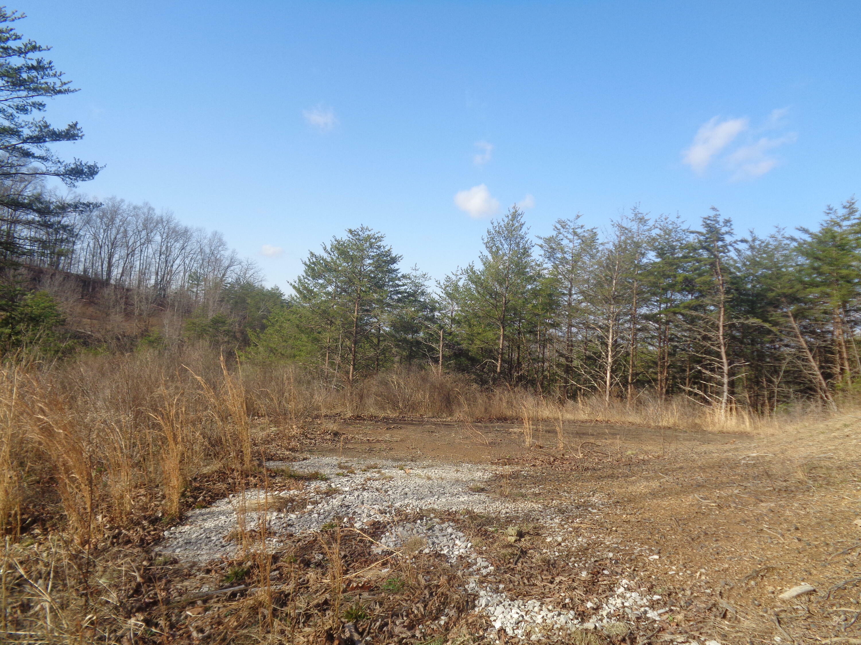 Property Photo:  6-7 Freeman Branch Road  KY 40729 