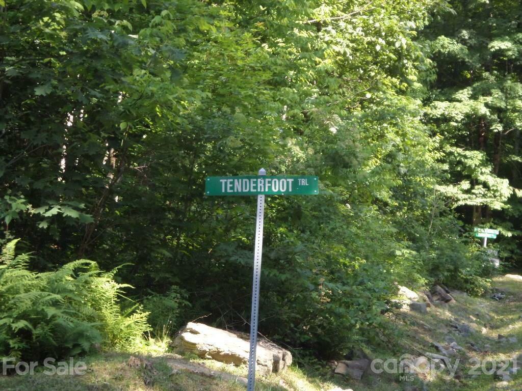 Property Photo:  112 Tenderfoot Trail 112  NC 28751 