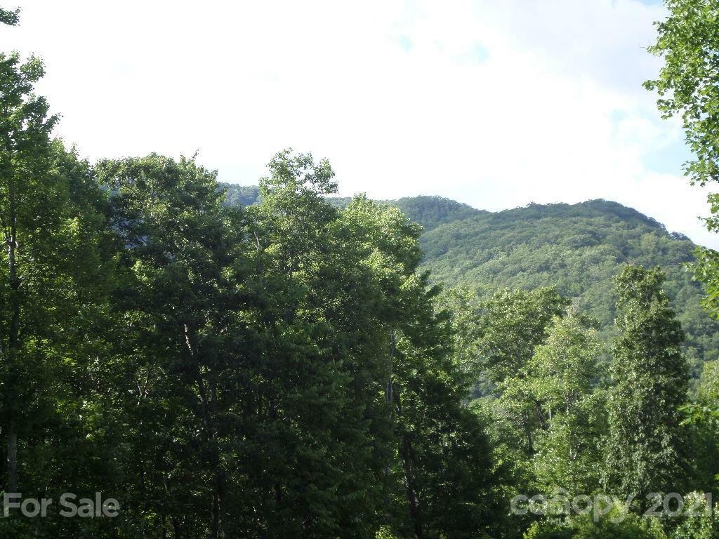 Property Photo:  102 Tenderfoot Trail 102 &Amp 103  NC 28751 