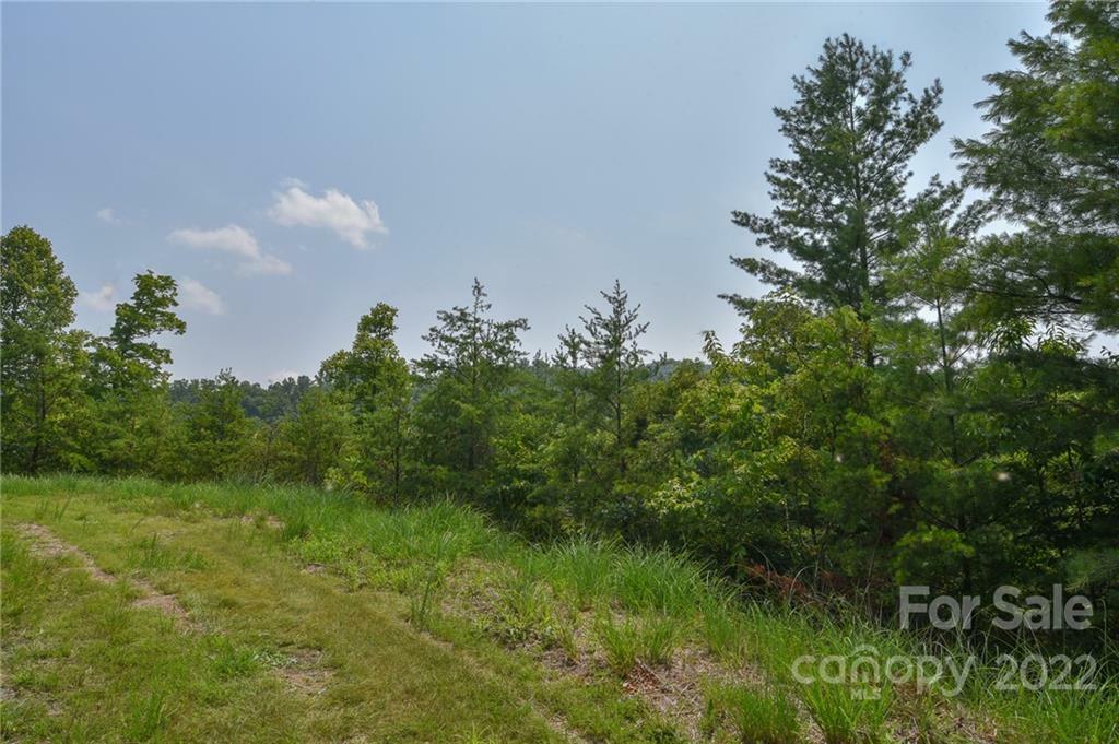 Lot 11 The Vines Boulevard Lot 11  Marshall NC 28753 photo