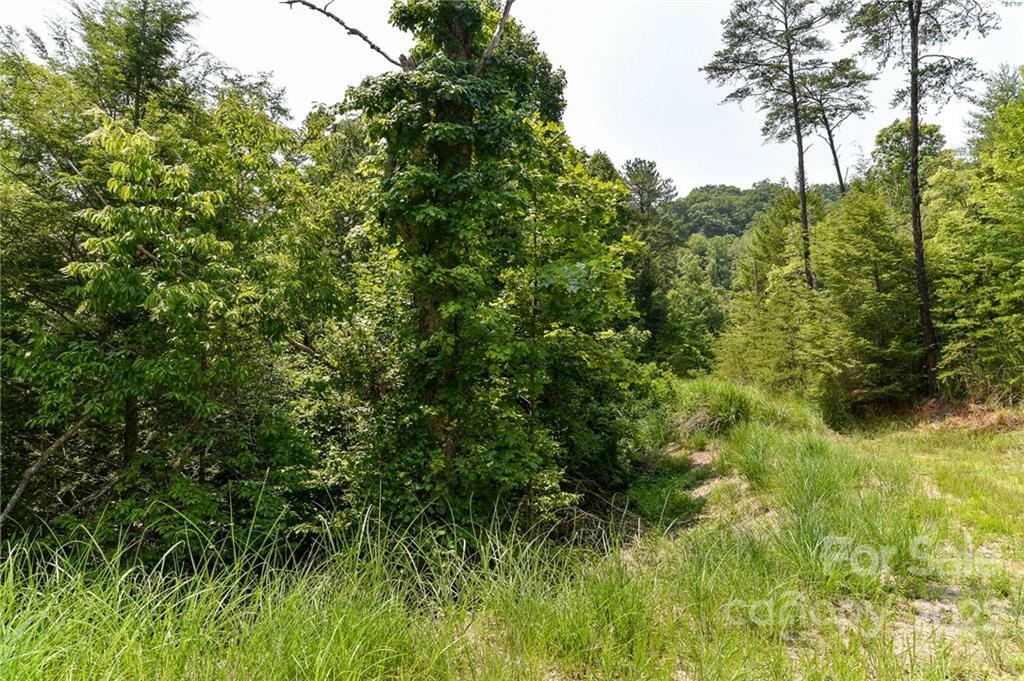 Property Photo:  Lot 12 The Vines Boulevard Lot 12  NC 28753 