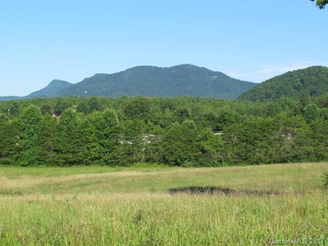 Property Photo: 00 Bill Collins Road NC 28722