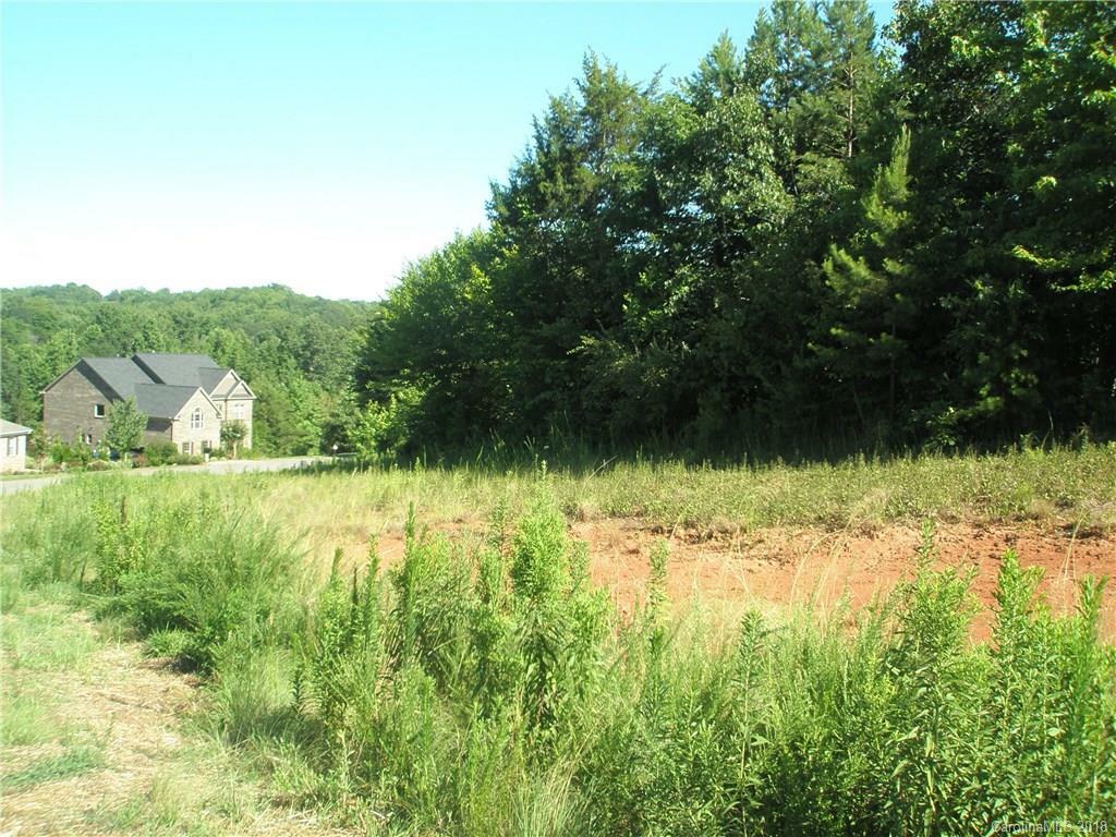 Property Photo:  149 Walking Horse Trail  NC 28036 