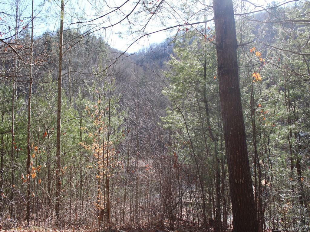 00 Laurel Branch Road 10  Waynesville NC 28785 photo