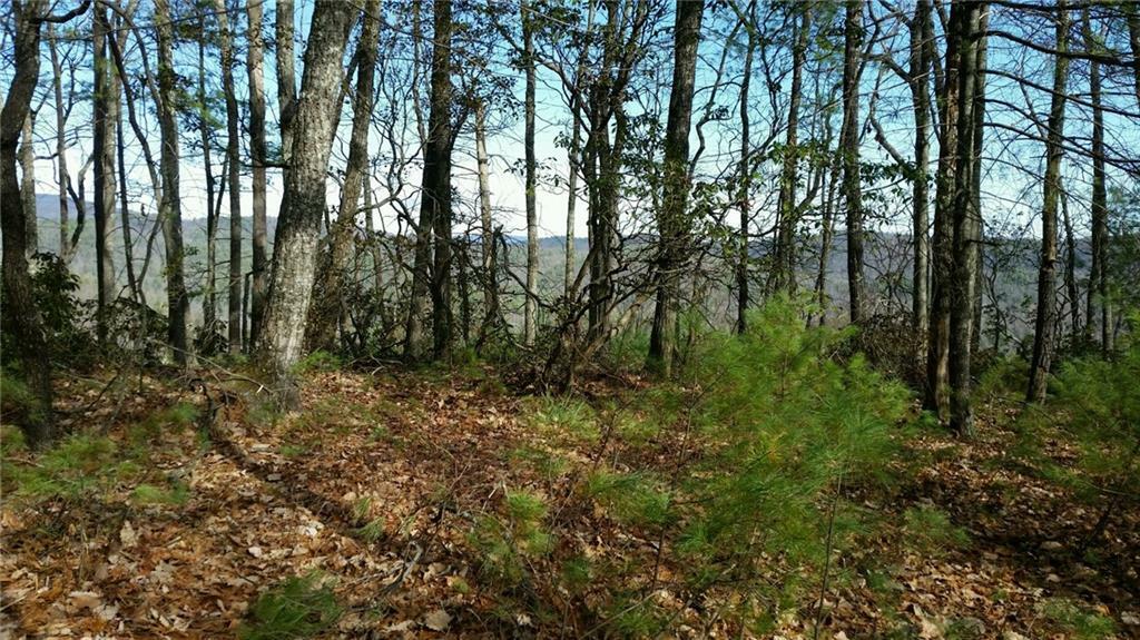 Property Photo:  Tbd Summit Ridge Road  NC 28665 