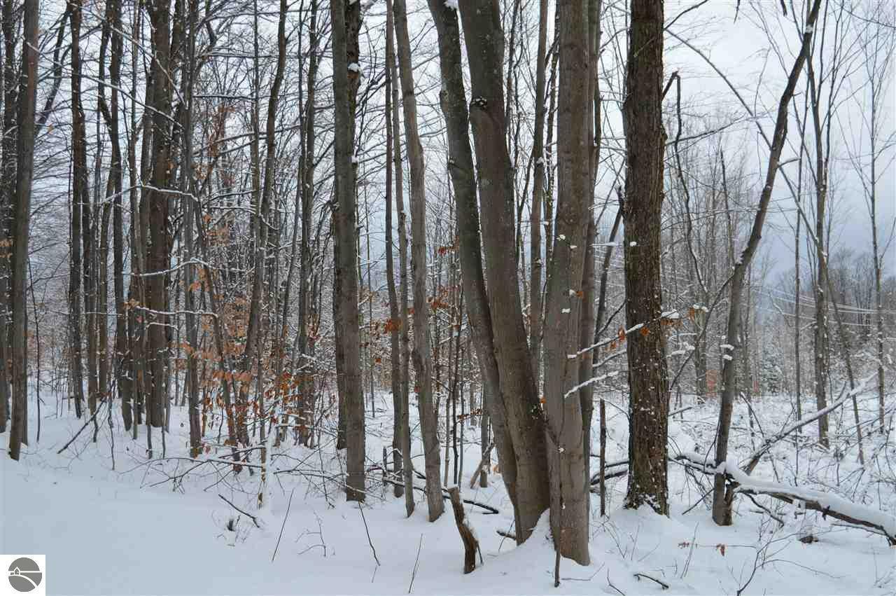 Property Photo: 7932 NE Oak Tree Street MI 49646