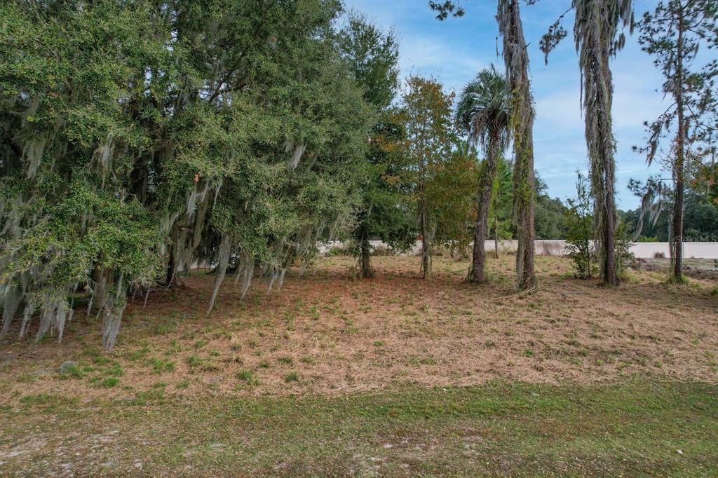 Property Photo:  801 Oaks Shores Road  FL 34748 