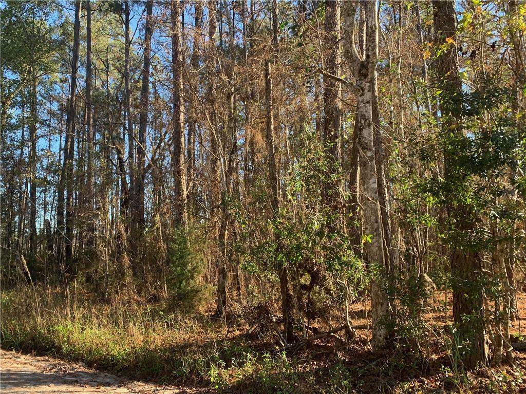 Property Photo:  Tract 1 Tracy Road  FL 32046 