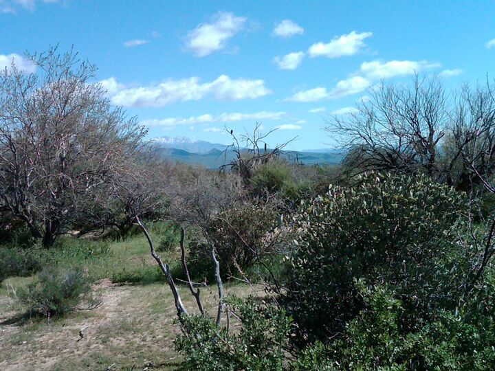 Property Photo: 32xxx N 162nd Street F AZ 85262